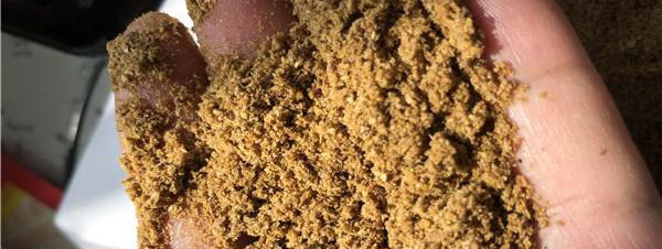 發酵過程泡沫的形成及控制？