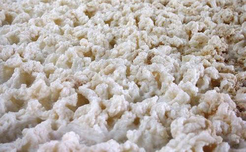 （圖：生物發酵泡沫的危害）